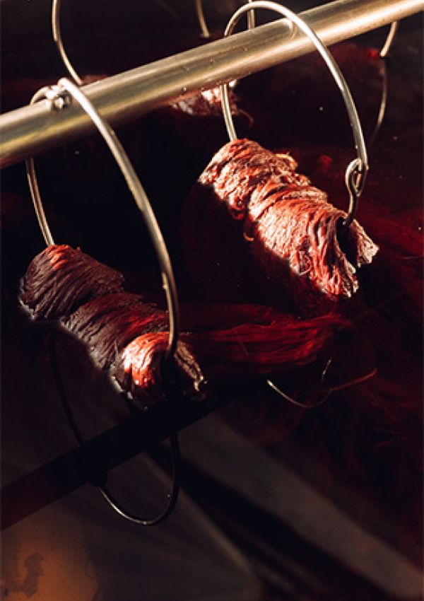 Jijivisha Nepal Sustainable Clothing Natural Dyeing Coloring